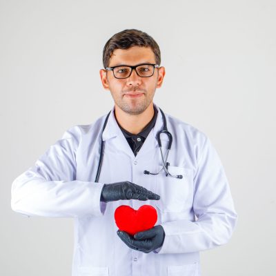 Doctor holding heart in white coat with stethoscope and looking positive , front view.